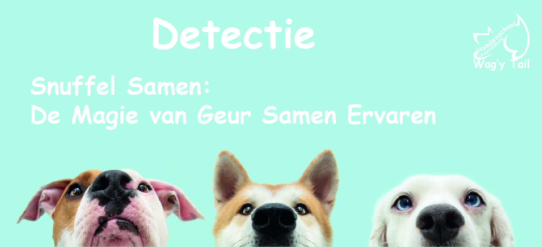 Banner: Detectie