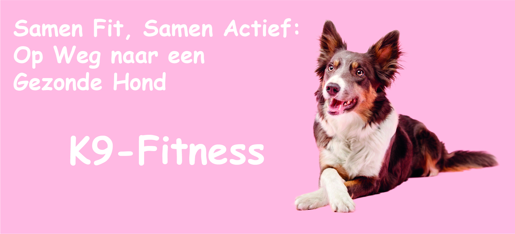 Banner: K9-Fitness