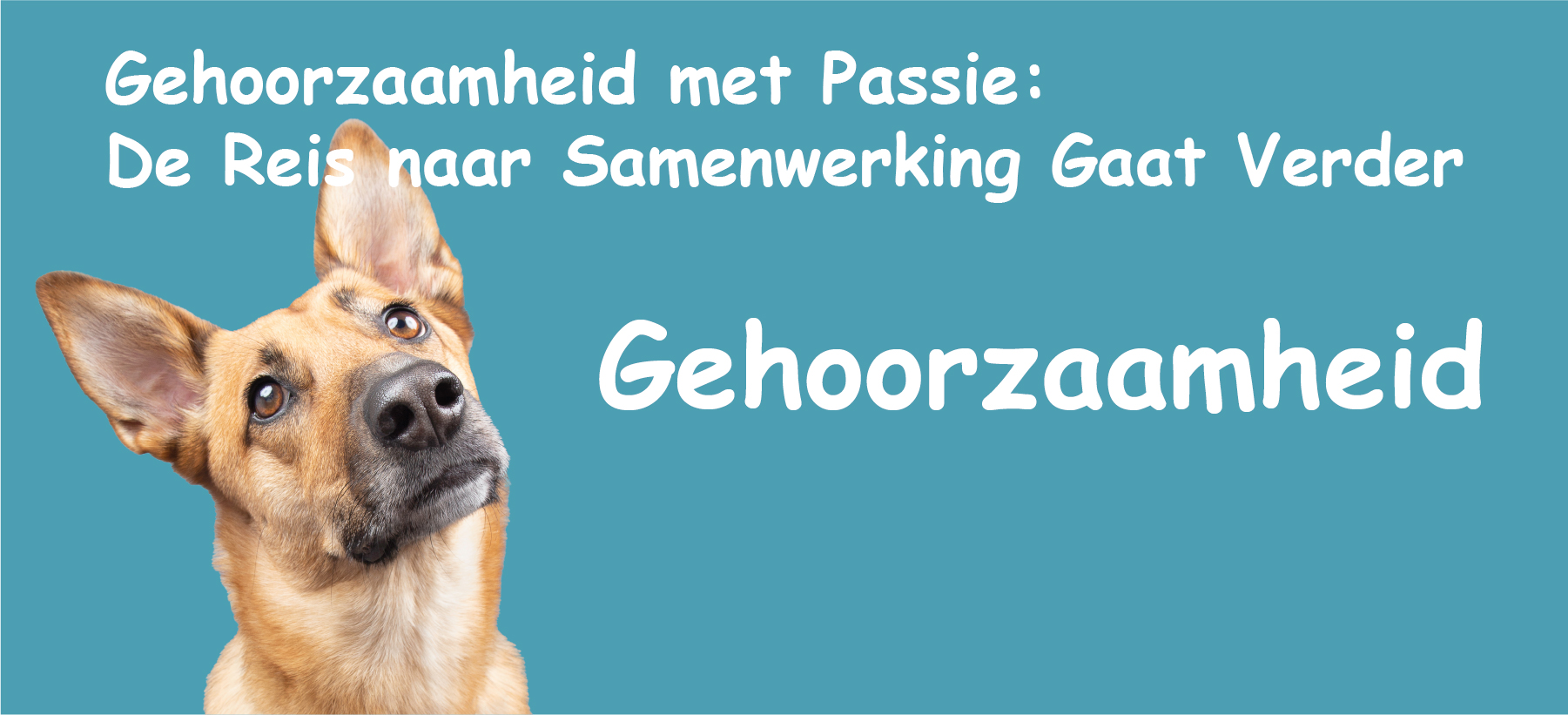 Banner: Vervolgcursus 'Gehoorzaamheid'