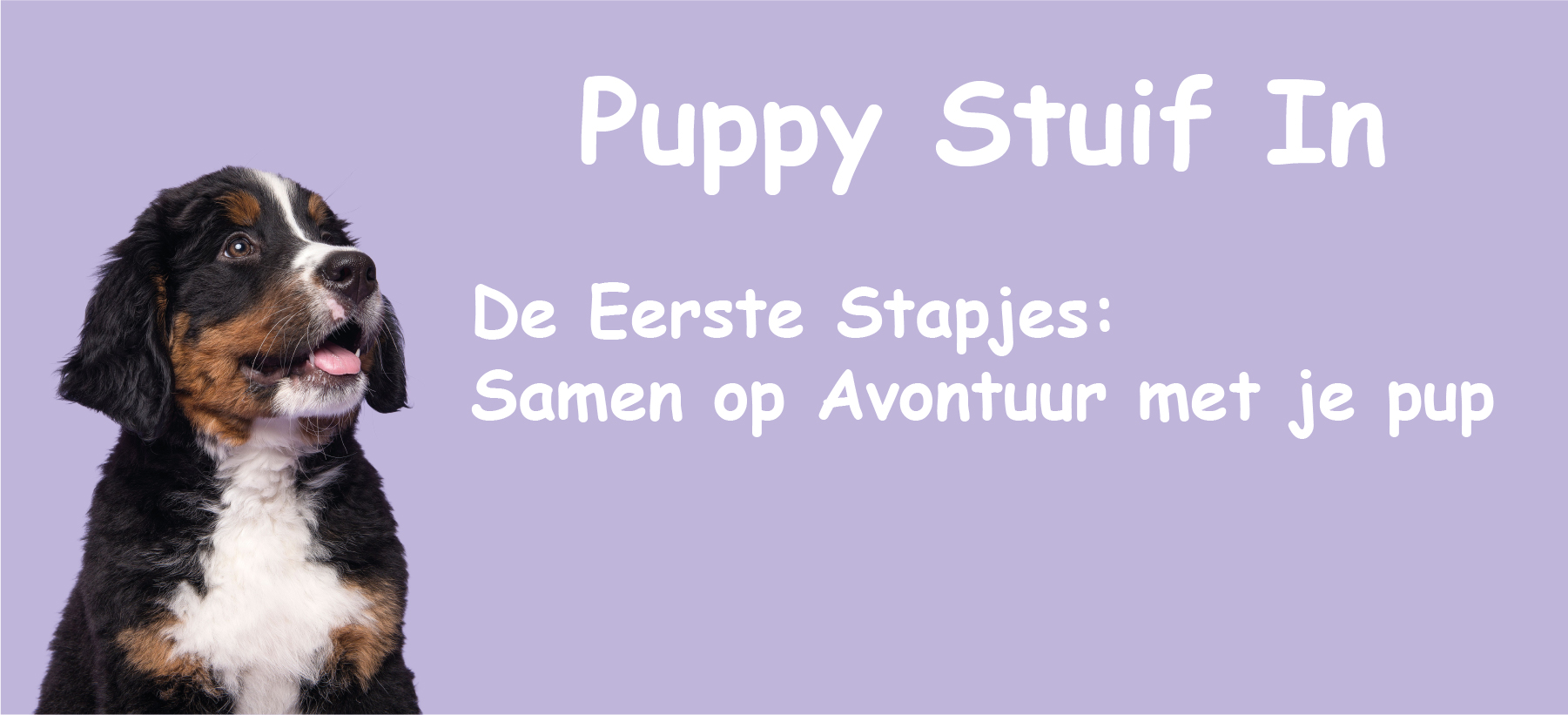 Banner: Puppycursus 'Puppy Stuif In'