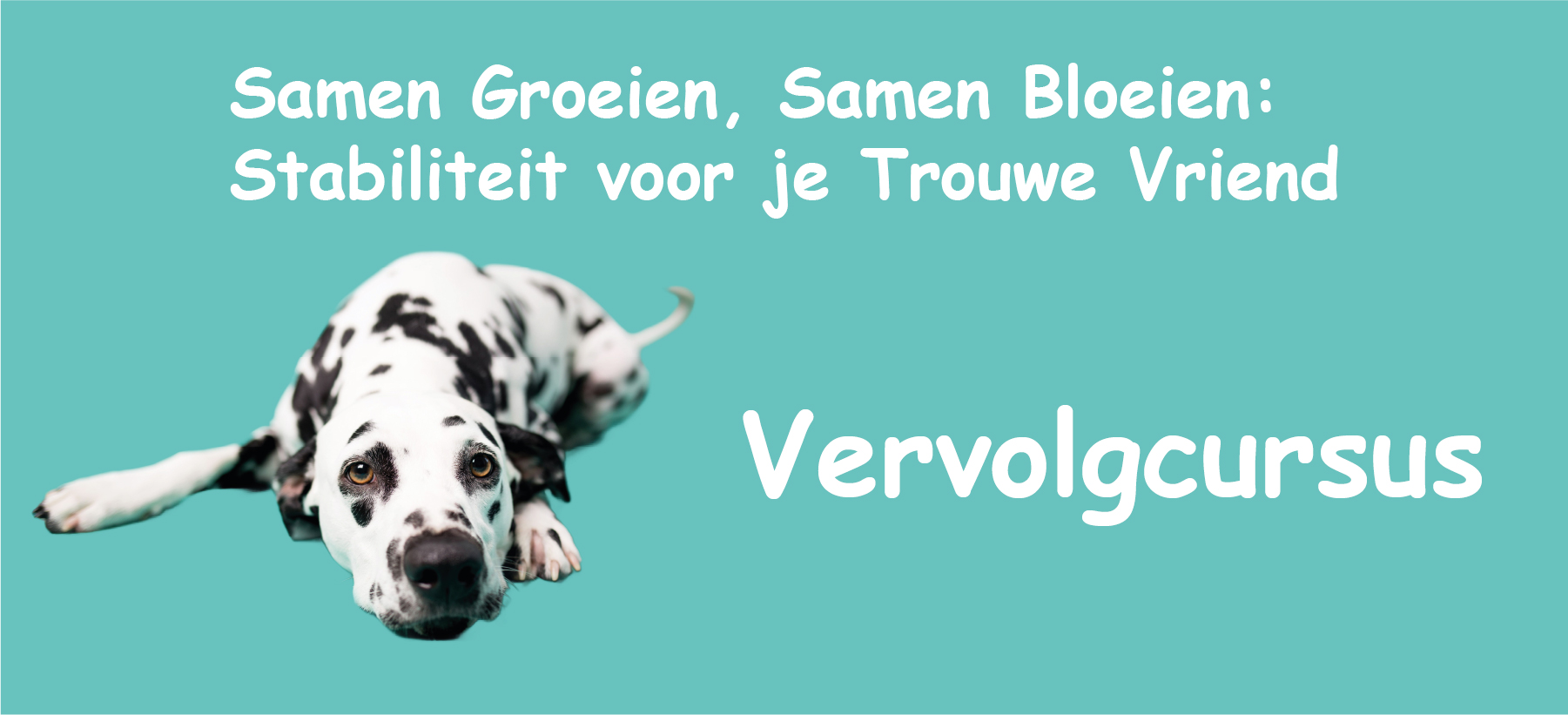 Banner: Vervolgcursus 'Sociale Huishond'